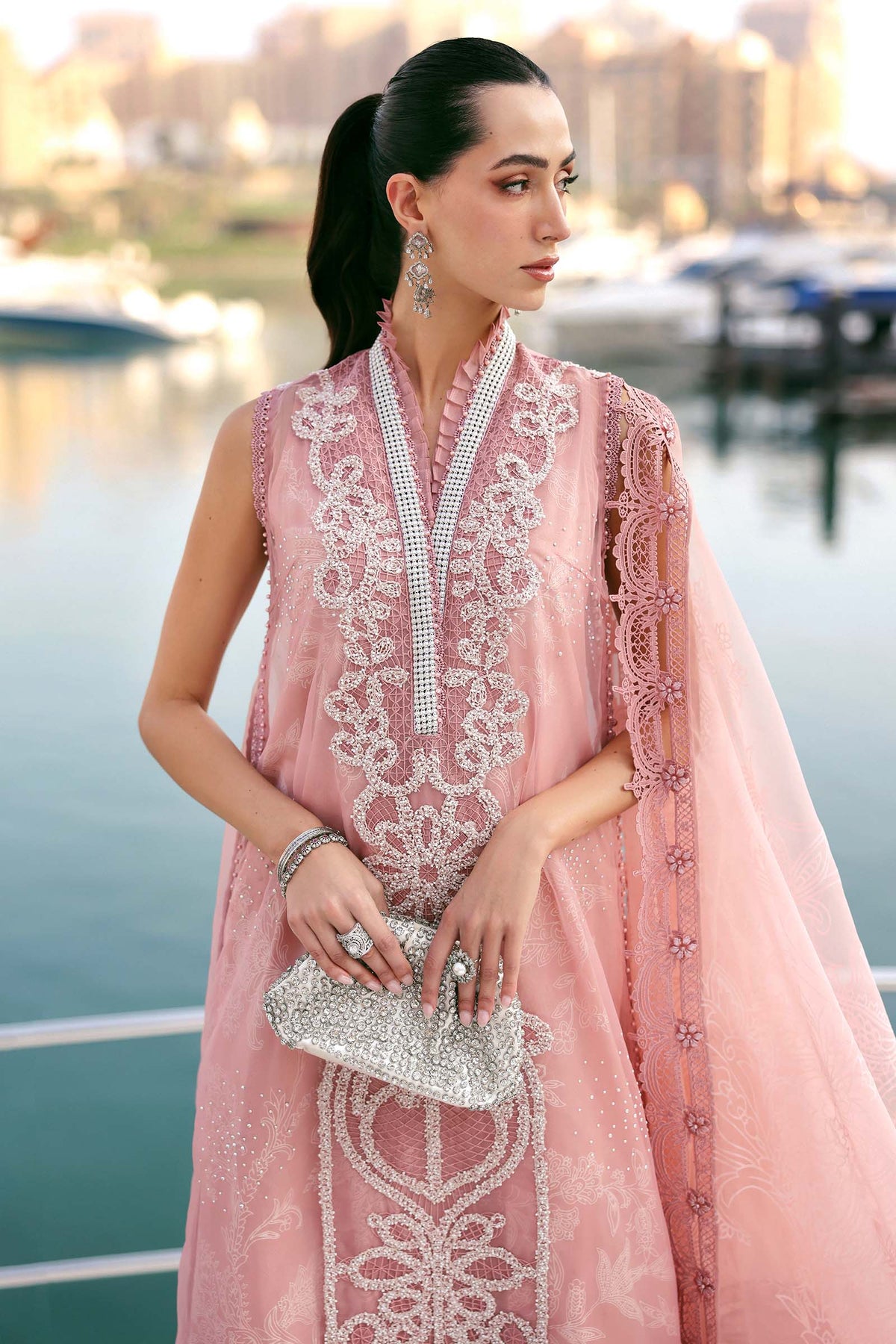 Embroidered Organza Suit
